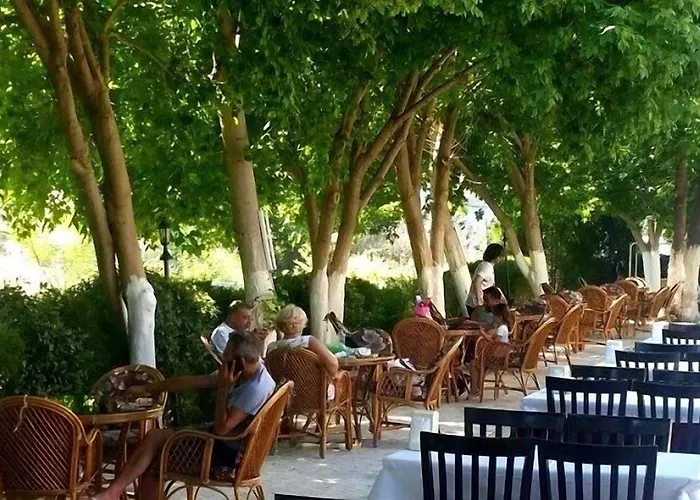 Selina Гюзельчамли